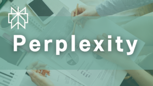 Perplexity